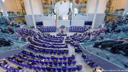 Koja je važnost političkog aktivizma dijaspore u interesu domovine  